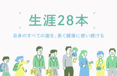 生涯28本 自身のすべての歯を、長く健康に使い続ける